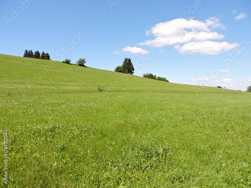 Wiese und Himmel