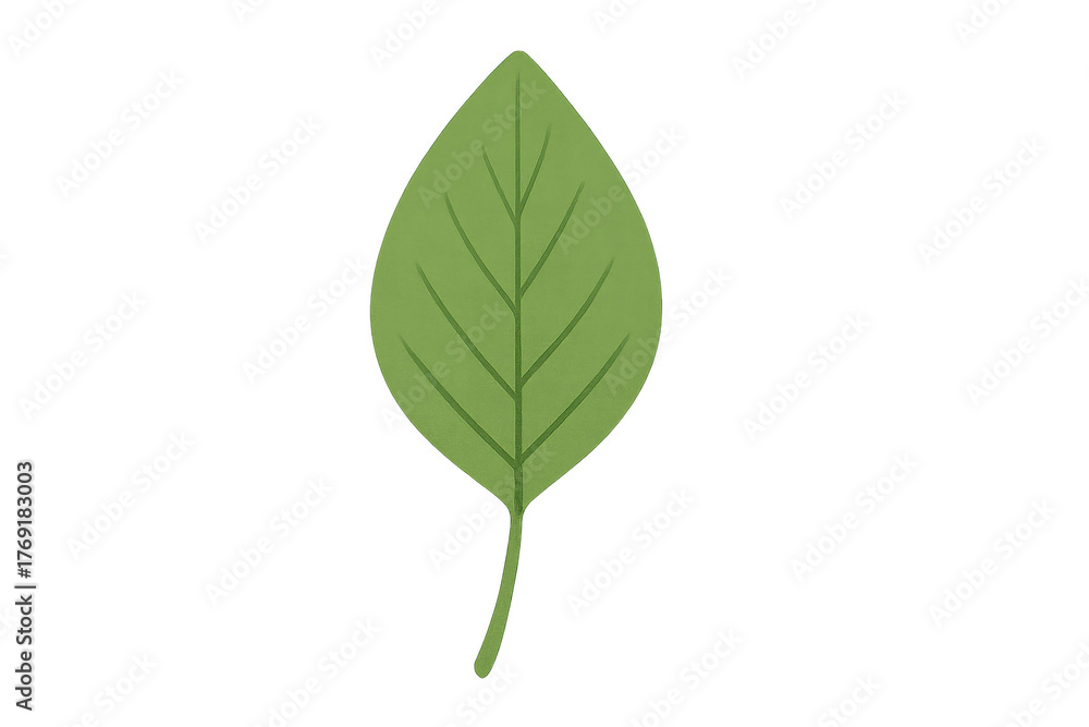 Fototapeta premium Green plant leaf illustration with transparent background