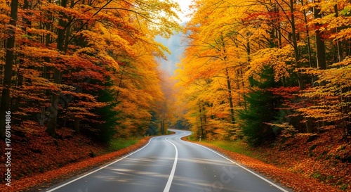 Curvy Asphalt Road Through Vibrant Autumn Forest Golden Orange Foliage Sunlight Streaming Down Empty Highway Scenic Drive