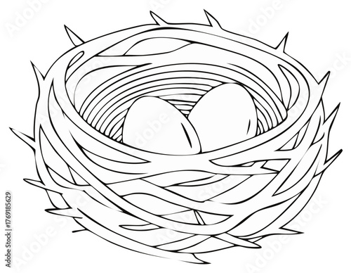 Two Eggs Resting Comfortably Inside a Thistle Nest, Drawn With Detailed Lines