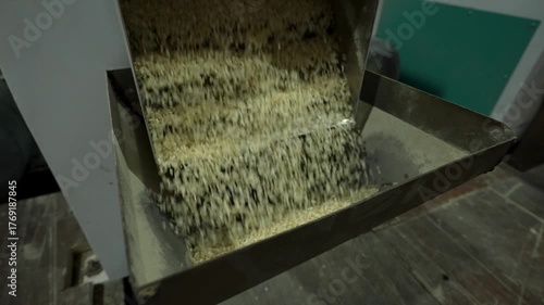 Rice Cleaning Machine Working in Processing Factory – Rice Milling and Sorting