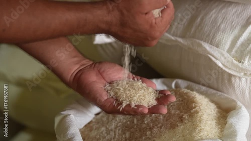 Hand Checking Rice in an Open Sack – Quality Inspection of Grains