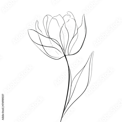 Elegant single line drawing of stylized tulip