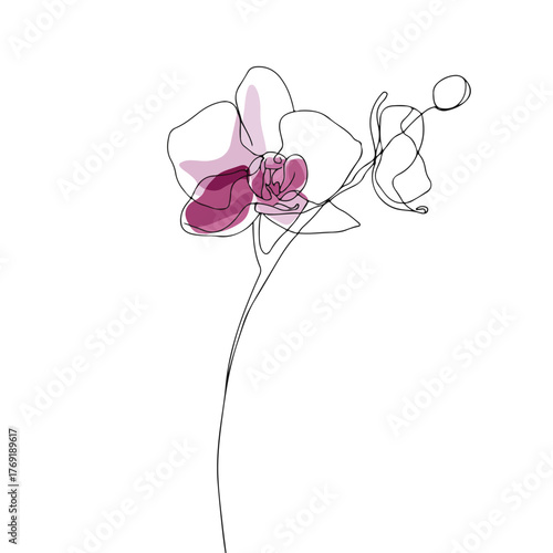 Elegant orchid flower continuous line illustration