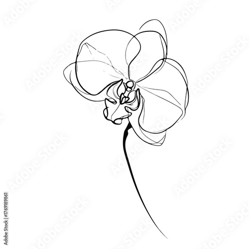 Elegant Orchid Continuous Line Art Illustration