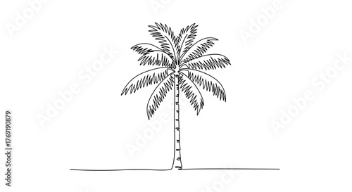 Elegant single line art illustration featuring a tall palm tree, symbolizing tropical destinations, exotic vacations, and peaceful natural beauty
