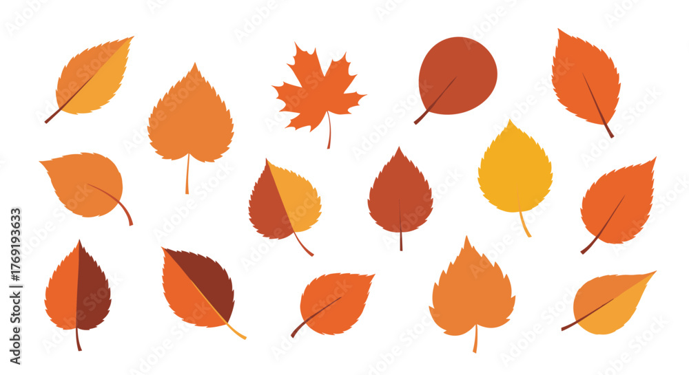 Obraz premium Vibrant autumn leaves in various shapes and warm colors, scattered on a white background, symbolizing the beauty of the fall season.