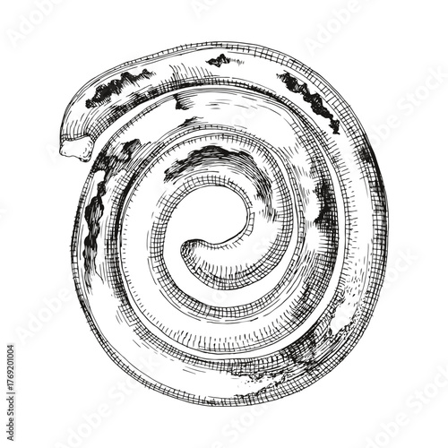 Homemade grilled spiral sausage vector