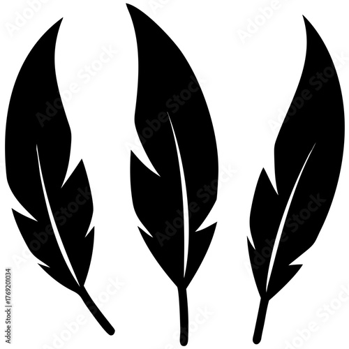 Feather icons. Set of black feather icons isolated. Feather silhouettes. 