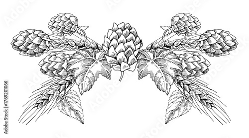 Hop branches with cones and barley ears