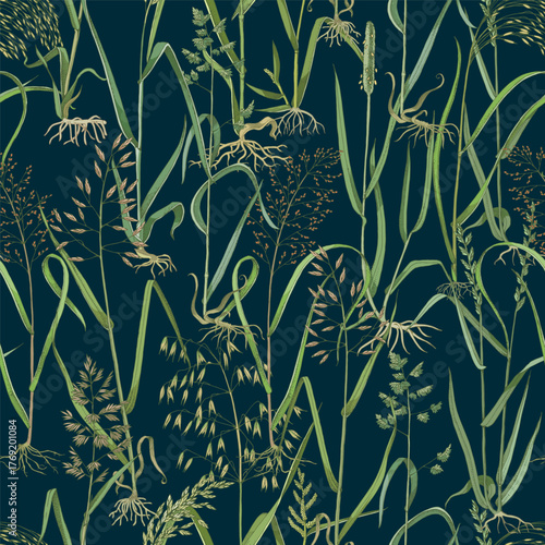 Wild grasses seamless pattern vector