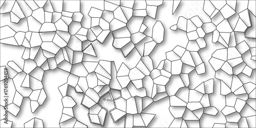 Outline of irregular polygonal shapes with subtle internal details and soft drop shadows on a clean white background, abstract cellular structure