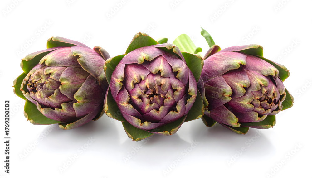Obraz premium Fresh Globe Artichokes with Purple Leaves Isolated 