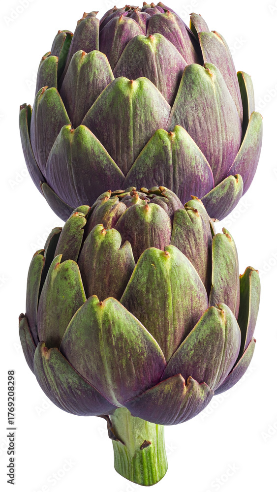 Obraz premium Organic Artichokes with Stems Isolated on White 