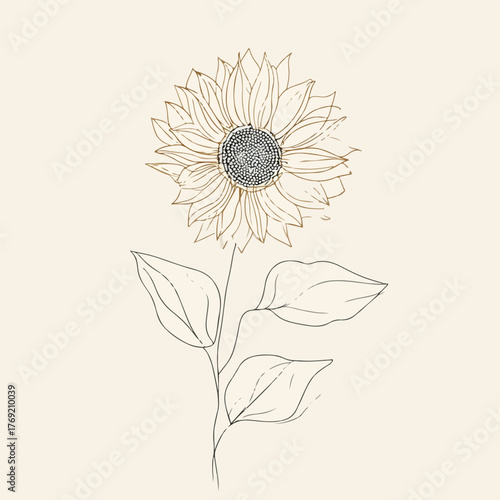 Elegant Sunflower Continuous Line Art Illustration