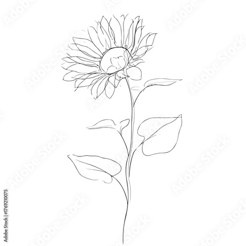Elegant continuous line sunflower with leaves