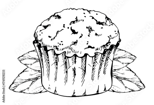Vector ink cupcake garnished with fresh mint leaves, soft muffin in fluted parchment shell. Hand drawn isolated dessert illustration. Coffee shop posters, recipe blog visuals, sweet packaging art.