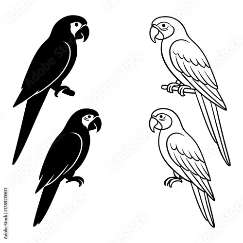 Silhouette and outline parrots perching on branches in black and white design.