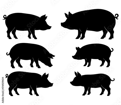 Silhouette collection of various pig breeds in different poses.