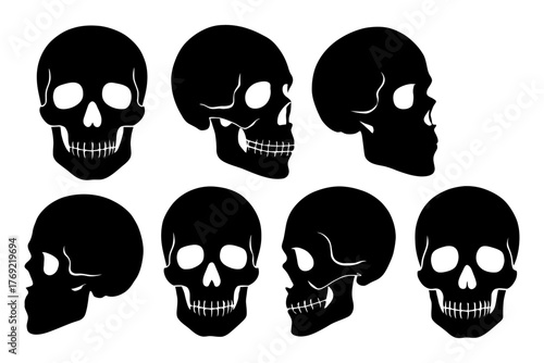 Set of seven black silhouette skulls in various angles and perspectives.