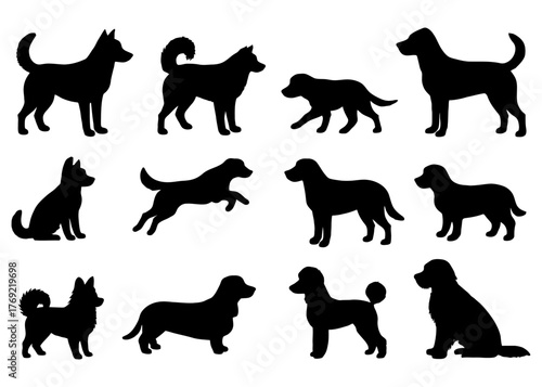 Silhouettes of various dog breeds in different poses and postures.