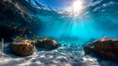 Fototapeta Naklejka Na Ścianę i Meble -  Calm close-up of calm sea water waves with palm trees. Beautiful panorama, tropical island beach landscape exotic shore coast. Summer vacation, holiday amazing nature. Sea background