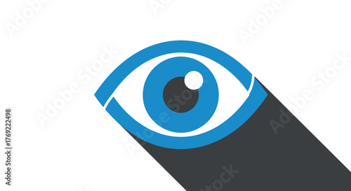 Stylized blue eye symbol casting a long shadow on a white background, representing vision and observation