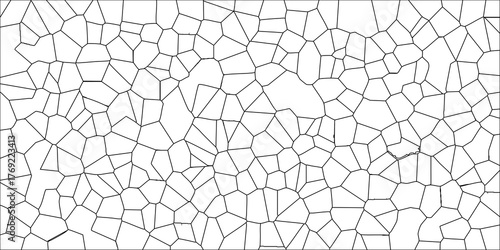 Abstract geometric pattern of irregular polygons in black lines on a white background creating a cellular or mosaic texture