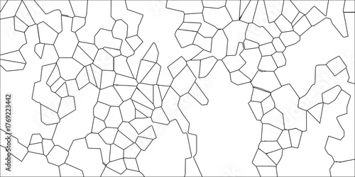 Black and white line art vector illustration of a complex network of irregular polygonal cells forming an abstract organic pattern