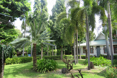 Palm trees and cabins at the Thande Riverside Resort in Bagan, Myanmar