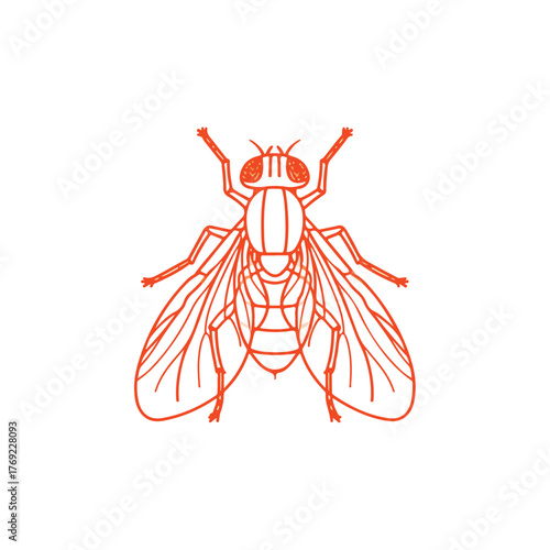 Sleek Orange Vector Design Element with Accents