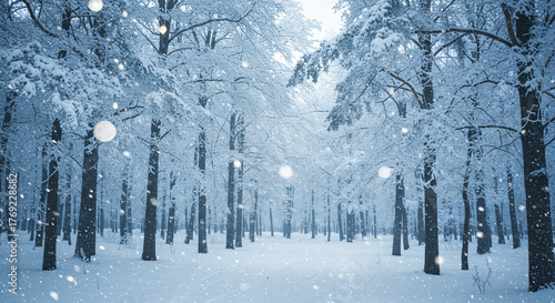 Realistic winter photograph of a pine forest covered in fresh snow