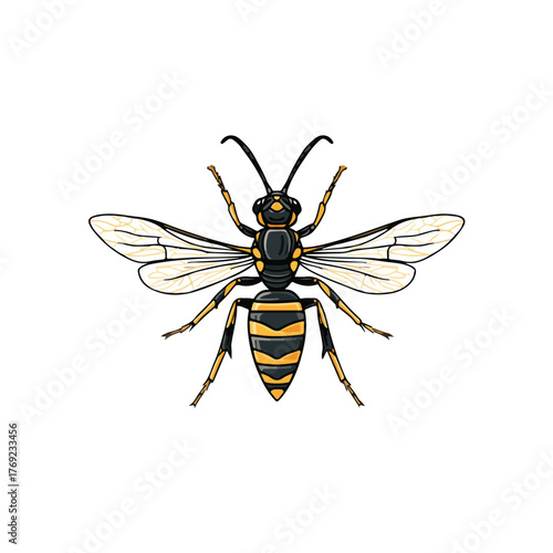 Elegant Wasp Line Art Vector Illustration