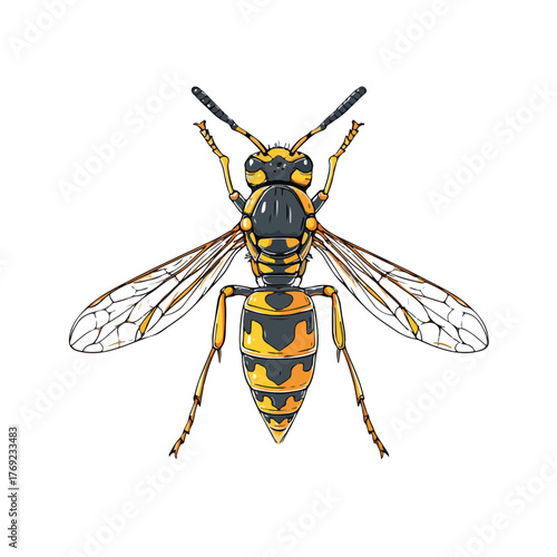 Sleek Wasp Line Art in Vector Style