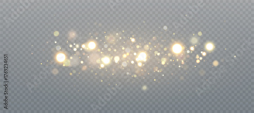 Soft shimmering glitter and bokeh particles on a transparent background. Light overlays create festive highlights and a fairy dust effect.
