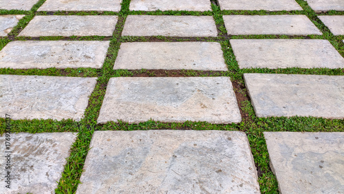 photo of paving block floor in garden with green grass line accent