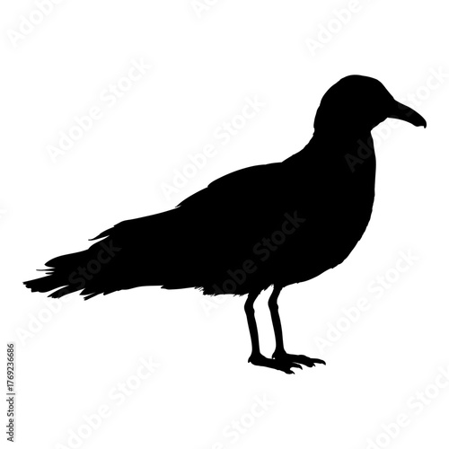 Standing Seagull Vector Silhouette Illustration