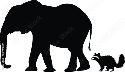 Elephant and Raccoon Silhouette Vector Illustration