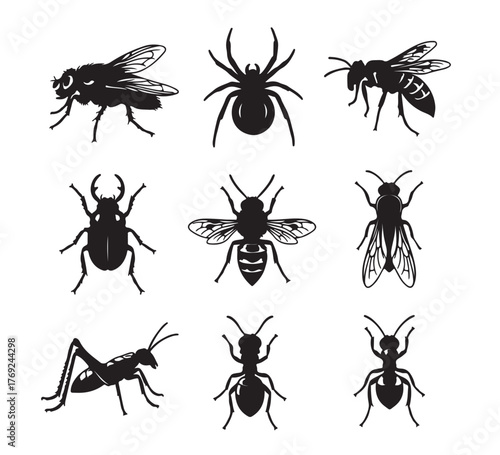 Creepy Crawlies Collection Vector Insects, Spider, Fly, Wasp, Beetle, Grasshopper, and Ant Silhouette Illustration Set