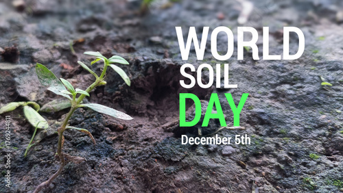 Celebrating World Soil Day December 5th Nurturing the Foundation of Life for a Sustainable Future