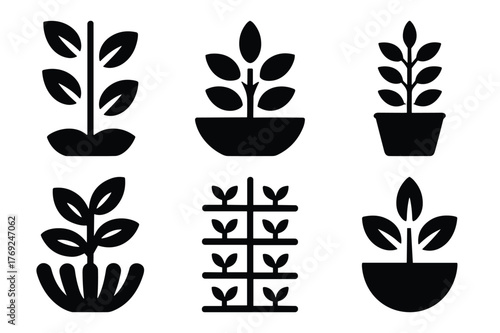 Set of plant growth icons