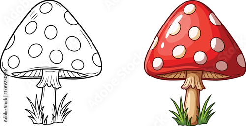 Colorful red toadstool mushroom illustration with black and white outline drawing, cartoon fly agaric fungus, forest nature art, isolated design