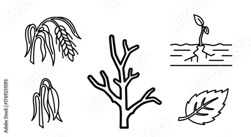 Vector Outline Icons of Plant Life Cycle Stages: Wheat, Wilting, Bare Tree, Sprout, and Leaf on White Background