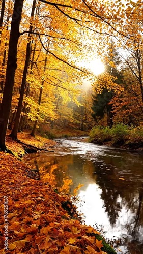 Autumn forest scene with river and sunlit trees nature landscape