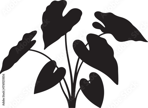 Black silhouette of a plant with large heart shaped leaves and thin stems on a white background