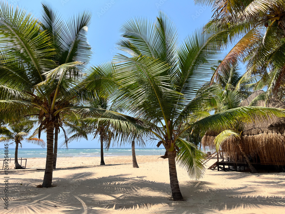 Obraz premium palm trees on the beach with white sand and the shadows in intricate patterns