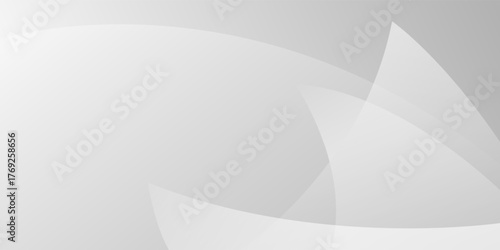 Abstract white and gray curve shape background. texture white pattern. vector illustration