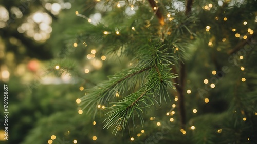 Evergreen Tree Branch Decorated with Warm Festive Lights for Christmas