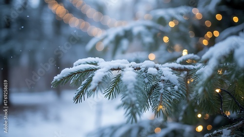 Snowy Pine Tree Branch with Festive Lights for Winter Holidays