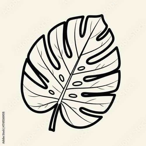 A detailed black and white line art illustration of a Monstera deliciosa leaf, showcasing its natural patterns and unique shape, perfect for botanical art and graphic design elements
